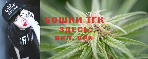 винт Верея